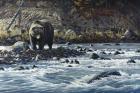 Along The Yellowstone - Grizzly