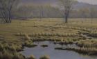 Spring Pasture - Mallard Pair