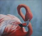 Figure 8 - Flamingo