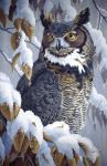 Winter Watch - Great Horned Owl