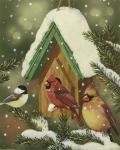 Snowy Birdhouse