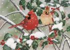 Snowy Perch - Cardinals