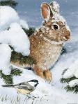 Winter Cottontail And Friend