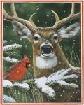 Deer With Cardinal