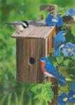 Birds At The Feeder (Bluebirds)