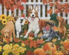 Puppies and Kittens - Autumn