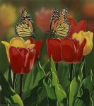 Monarchs And Tulips