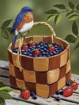 Blueberry Basket