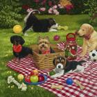 Puppy Picnic