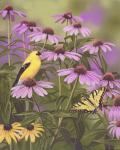 Butterfly & Finch Amongst Flowers