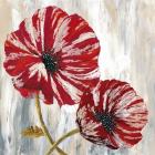 Red Poppies I