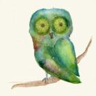 Green Owl