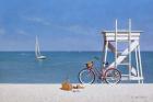 Beach Bike 3