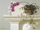 Orchid On Mantle