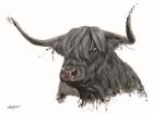 Ethel the Highland Cow