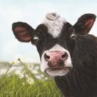 Daisy Moo