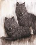 Wolf Pair