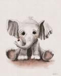 Lolli the Baby Elephant