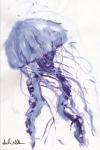 Blue Jellyfish