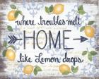 Lemon Home