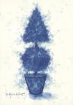 Blue Cone Topiary