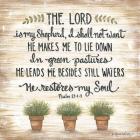 The Lord is My Shepherd