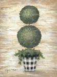 Gingham Topiary Spheres