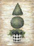 Gingham Topiary Cone