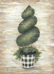 Gingham Topiary Spiral