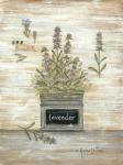 Lavender Botanical