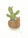 Snail Planter Cactus