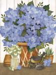 Heavenly Hydrangeas