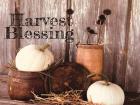 Harvest Blessings