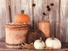 Autumn Pumpkins