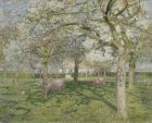 The Orchard in Springtime 1902