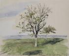 Honfleur, Garden With Two Fruit Trees, Seaside, 1864