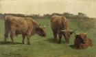 Three Studies of Reddish-Haired Cows on a Meadow
