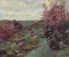 Landscape, 1905