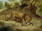 Lion and Cayman, 1855