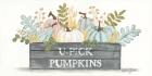 U-Pick Pumpkins