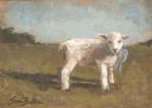 Little Lamb III