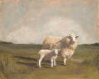 Sheep in the Pasture II