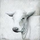 January Cow II