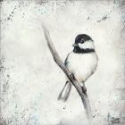 Chickadee II