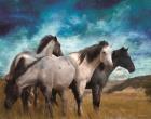 Starry Night Horse Herd