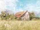 Spring Green Meadow by the Old Barn