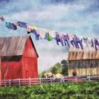 Clothesline Farm