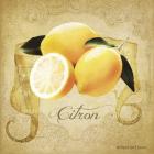 Vintage Lemons Citron