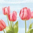 Fresh Spring Tulips I