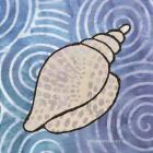 Whimsy Coastal Conch Shell